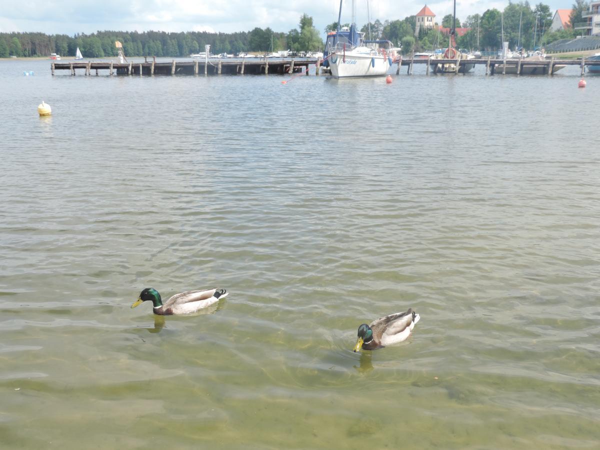 Mazurskie Wzgorze リジェボ エクステリア 写真